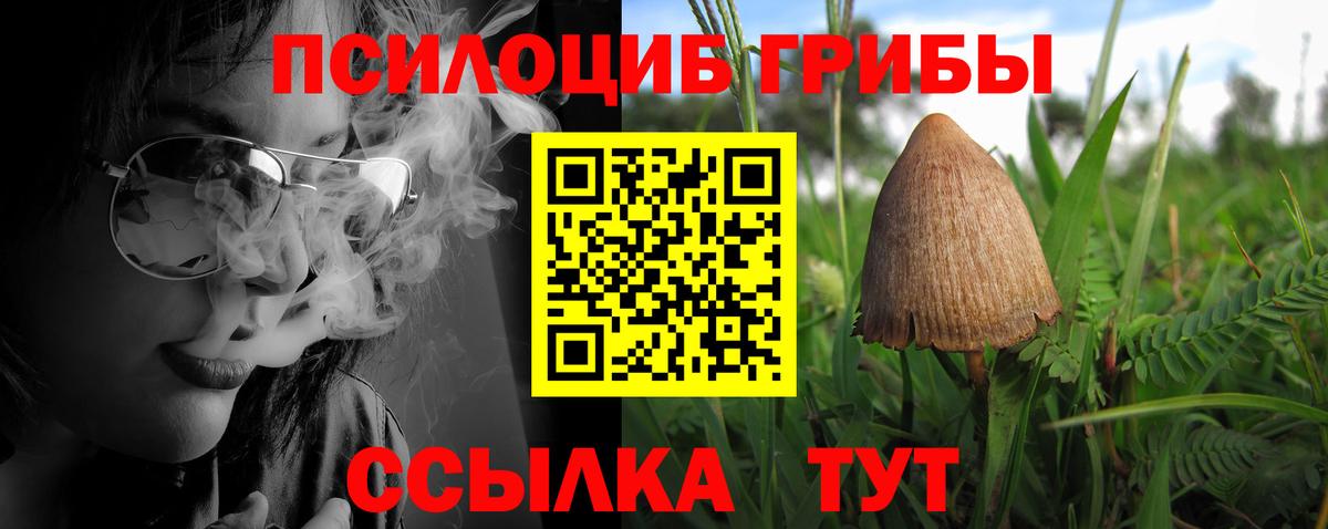 Свободный  Псилоцибиновые грибы прущие грибы  Вход с VPN 